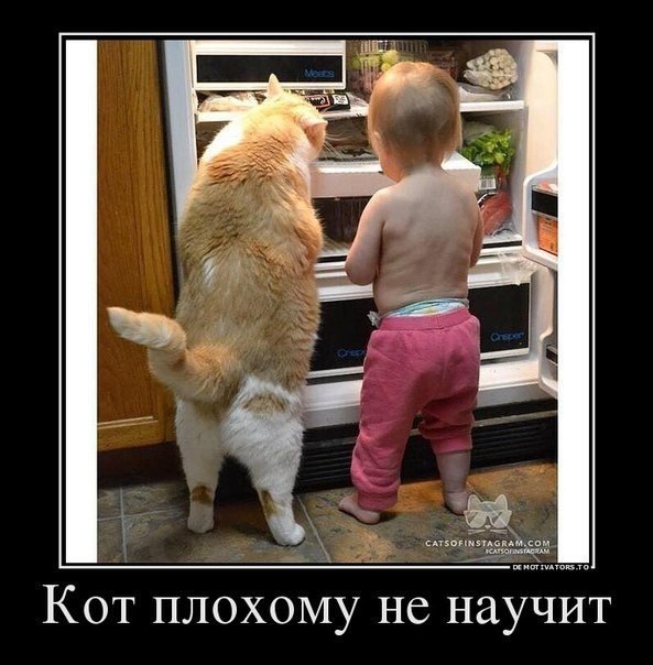 ������������ ���� - 16 ������� 2015 � 21:09