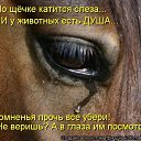  , -- -  20  2015    