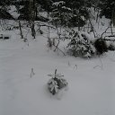 ���� ����� �������, ��������, 54 ���� - ��������� 15 ������ 2015 � ������ ������ ��������