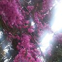 ���������� ������� ������) �� ������� ���� ����������