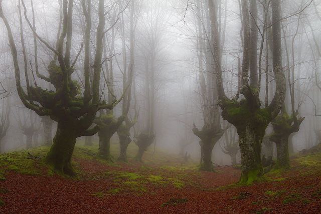    (Gorbea Natural Park)     ().    ... - 8