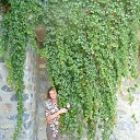 ���� �������, ���������, 55 ��� - ��������� 13 ������� 2015