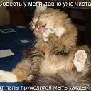 ���� Natalia, �����, 72 ���� - ��������� 15 ������� 2015 � ������ ������ ��������