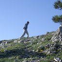 ���� �����, ������, 44 ���� - ��������� 15 ������� 2014