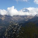 ���� �������, ������, 46 ��� - ��������� 11 ������ 2015 � ������ ������