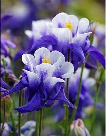 Чтобы не терять – нужно просто ценить. Запомните это. - 3