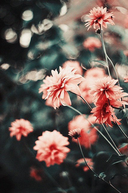 � ��� ������, ���� ��� �������? � ��������� �� ��� �����.