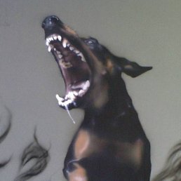 ���������, ������, 46 ���