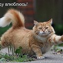 ���� ������, ������, 52 ���� - ��������� 24 ������� 2014 � ������ ������� ��������