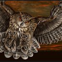 ���� ���������, ���� - ��������� 15 ����� 2015 � ������ ���� ����������