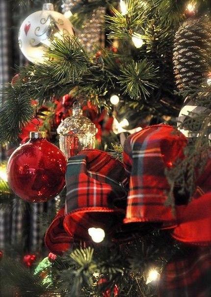 |В| Счастье есть... |В| - 28 декабря 2014 в 13:16