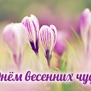 ���� �������, �����-��������� - ��������� 18 ����� 2015 � ������ �������� ��������