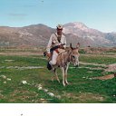 ���� ������, ��������, 54 ���� - ��������� 15 ������ 2015 � ������ ���� ����������