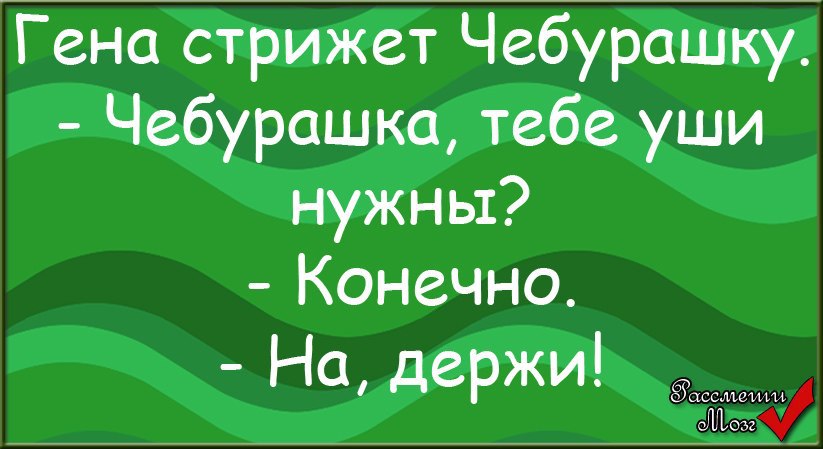 Конечно держу. Чебурашка тебе уши нужны. Смешные истории про Гену и Чебурашку. Анекдоты с чебурашкой и Геной. Анекдот про Чебурашку и Гену на мотоцикле.