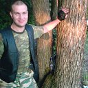 ���� �������, �����, 49 ��� - ��������� 14 ������ 2015 � ������ ���� ����������