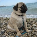 ���� ���, ����� - ��������� 16 ������� 2015 � ������ �����-���������!�