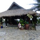 ���� ������, ������ - ��������� 8 ������ 2015 � ������ ���� ����������