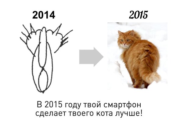 Владельцы GrumpyCat заработали на фотках кота миллионы долларов. Со смартфоном нового поколения твой ...