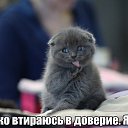 ���� ����, ������, 59 ��� - ��������� 25 ����� 2015