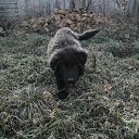 � ����� ������ ���������� �� ������� ���� ����������