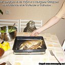 ���� Victor, ���� - ��������� 22 ����� 2015 � ������ ������ ��������