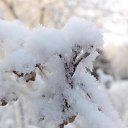 ���� Valka, ������, 63 ���� - ��������� 30 ������ 2015 � ������ ���� ����������