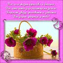 ���� ����, �������� - ��������� 27 ������� 2015 � ������ ������ ��������