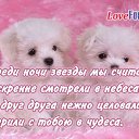 ���� ���������, ������� - ��������� 21 ����� 2015 � ������ ������ ��������