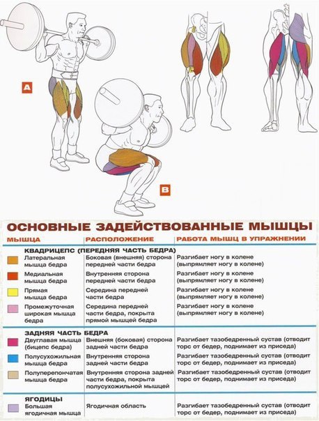 МНОГОПОВТОРНЫЕ ПРИСЕДАНИЯ. Многоповторные приседания - это метод приседания со штангой, который ...