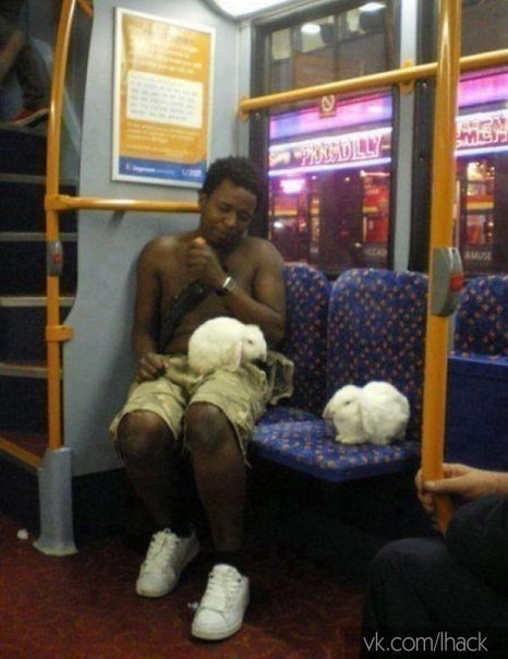 ���� ������ �� ��������� � ������������ ����������... - 3