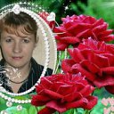 ���� �����, ��������, 44 ���� - ��������� 8 ������� 2015 � ������ ���� ����������