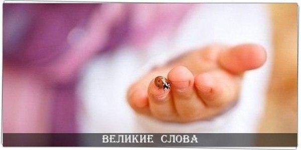 Сильные люди всегда просты. © Лев Толстой
