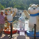 ���� ����� 2014 ��� �� ������� ���� ����������