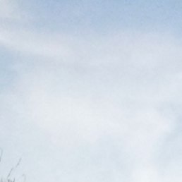 �����, ������, 39 ���