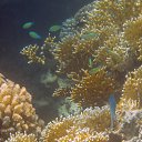 ���� Df, ������ - ��������� 30 ������ 2015 � ������ �������� ����