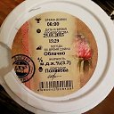 ���� ����, �����-���������, 37 ��� - ��������� 28 ������ 2015 � ������ ������ ��������