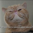 ���� ����, ���� - ��������� 11 ����� 2015 � ������ ������ ��������