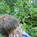 ���� ������ ++, �����-���������, 22 ���� - ��������� 29 ������� 2014 � ������ ���� ����������