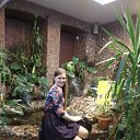 ���� ����������, �����-���������, 41 ��� - ��������� 28 ����� 2015 � ������ ������ ��������