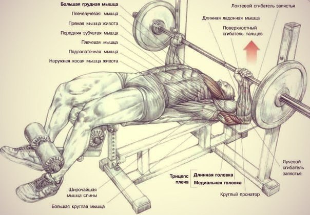 .1 -   , ,    /     ... - 2