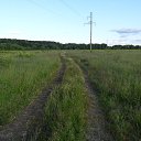 ���� ����, ��������, 52 ���� - ��������� 3 ����� 2015 � ������ �� ������ ���������