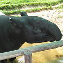 ���� �������, ������������, 58 ��� - ��������� 8 ������ 2015 � ������ ���� ����������