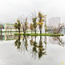 ���� �����, �������� - ��������� 11 ����� 2015 � ������ ������ ��������