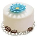 ������� ��������� ���� ���������
��� ������� ������������ � ���� ��������� ������ �����������. ������� �������� �� ������ ����� ���� ������ �����������. ����������� ���! �� ����� � 10 ������. �� ������� ���� ����� �� ���������Ż