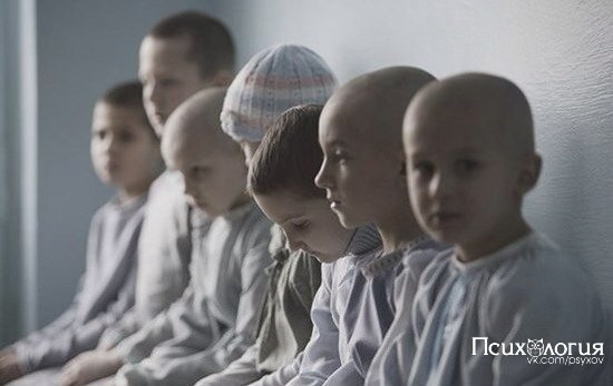 Шестой айфон и всё такое прочее. — Тетя Лена, а можно я не умру? — мальчик, лежащий на кровати, ...