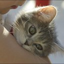 ���� &hearts; ������� &hearts;, ������ - ��������� 28 ������ 2015 � ������ ������ ��������