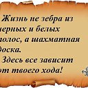 ���� ��������, ������ - ��������� 5 ������ 2015 � ������ ������ ��������