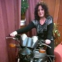 ���� �����, ������, 53 ���� - ��������� 14 ������� 2014 � ������ ���� ����������