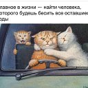 ���� �����, ���������, 57 ��� - ��������� 19 ������� 2015 � ������ ������ ��������