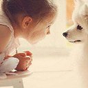 ���� ���, �������, 41 ��� - ��������� 4 ������ 2015 � ������ ���� ����������